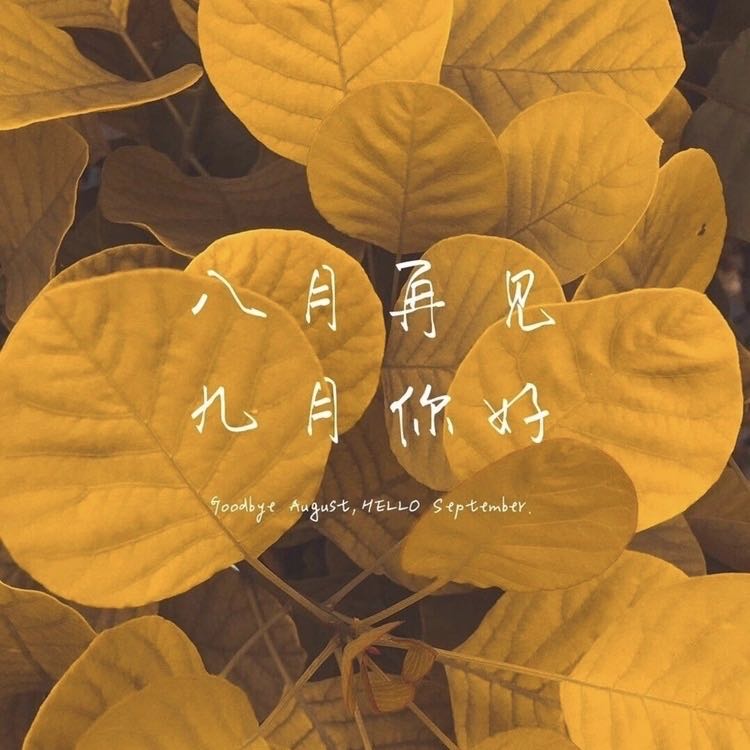 昆山纸箱厂家